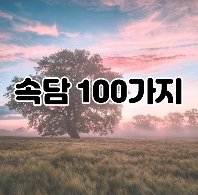  속담 100가지 뜻과 풀이 알아보아요