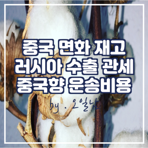  중국 면화 재고 증가, 러시아 수출 관세 인상, 중국향 운송비용 하락 소식