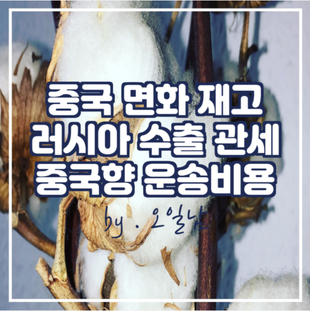 중국 면화 재고 증가, 러시아 수출 관세 인상, 중국향 운송비용 하락 소식