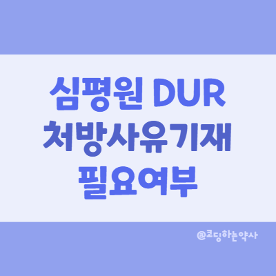 심평원 DUR (의약품안전사용서비스) 처방 조제 사유기재 필요(필수)여부