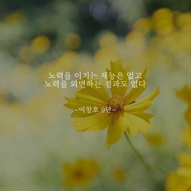 부거사이 [부동산 뉴스와 블로그] 11월 16일(화)