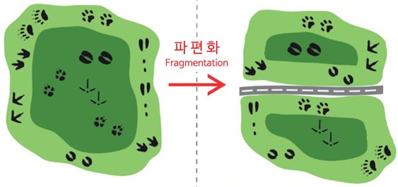  5-4. 생물 다양성의 위기와 감소 원인