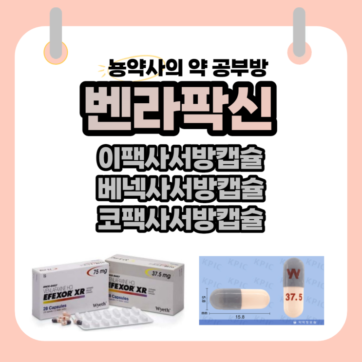  [뇽약사] 우울증약, 벤라팍신(venlafaxine), 이팩사엑스알, 베넥사엑스알, 코팩사엑스알 부작용