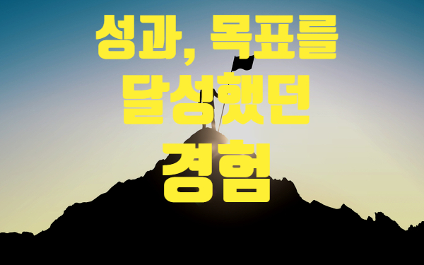  자소서 항목별 작성 방법 - 성과 창출 또는 목표를 달성한 경험
