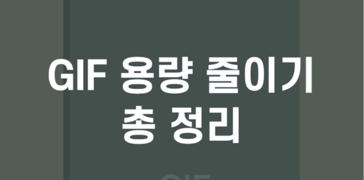  GIF 용량 줄이기 방법(3초만에 가능)