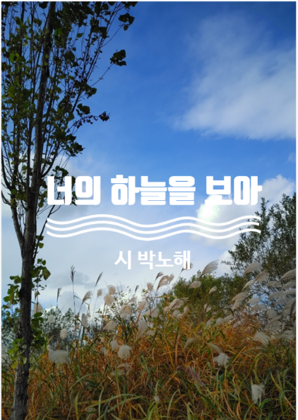  박노해 시인의 숨고르기: '너의 하늘을 보아'를 읽고 숨을 고릅니다.