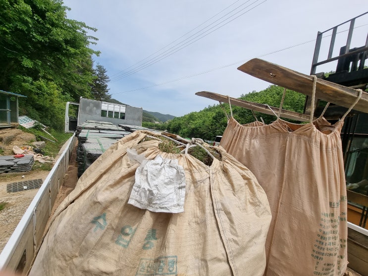  한국잔디 디딤돌 출하 중 같이 배송도 가능해요