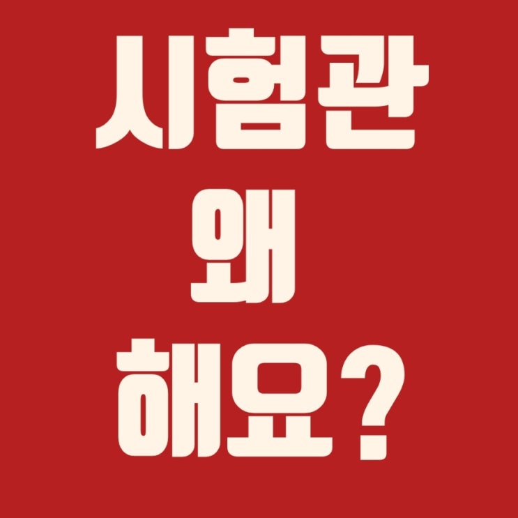  시험관 왜 해요?맹쭈언니의 인생의 중요한 가치 2부
