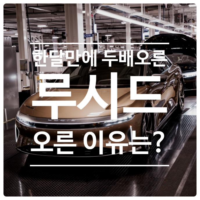  한 달만에 2배 뛴 루시드, 2021년 3분기 실적 발표!