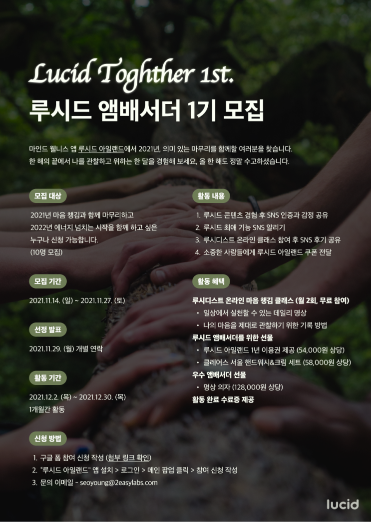 [청소년 대외활동] '루시드아일랜드 앰배서더' 루시드투게더 1기 모집