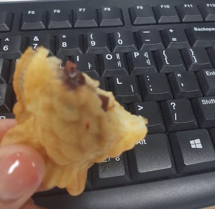  동탄 개나리공원 카페 네꼬야 (붕어빵 파는 곳)