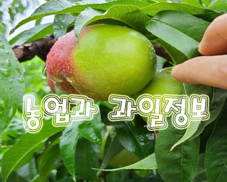  디지털 노마드가 되는방법 3가지