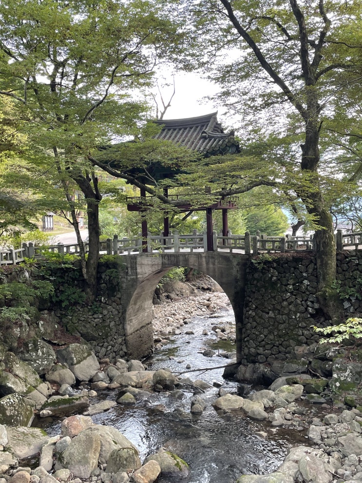 그림같이 아름다운 구례 지리산의 천은사