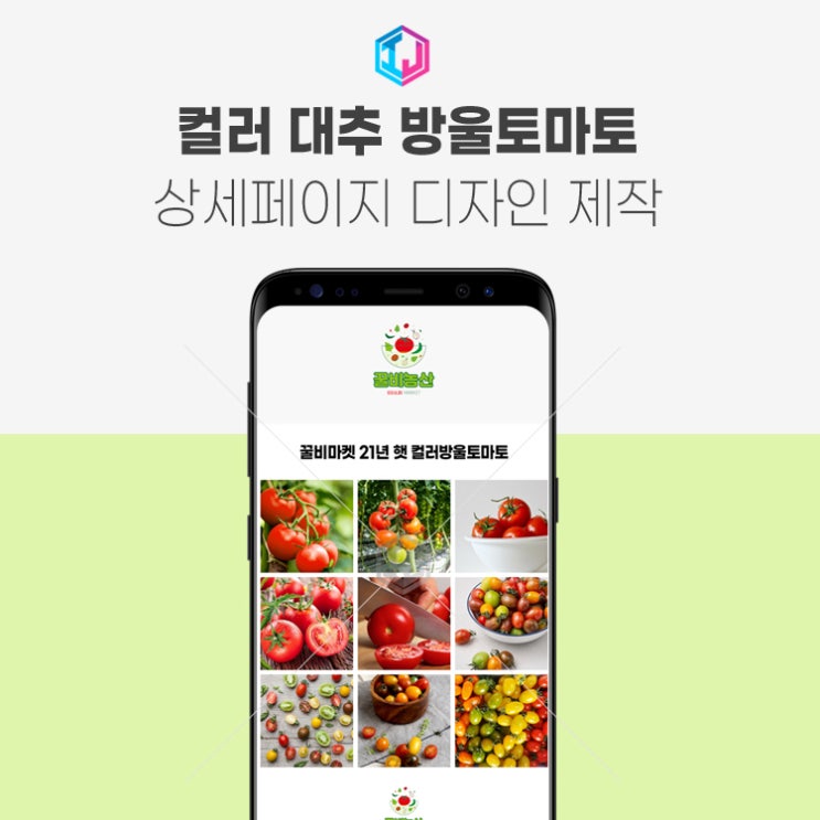  컬러 대추 방울토마토 상세페이지 디자인 제작