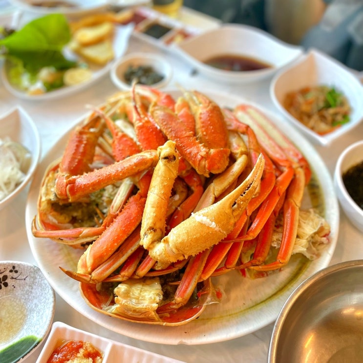  포항 초보자가 먹은 대게 가격과 죽도시장 맛집 운하회대게식당