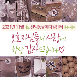  2021년 11월에도 센텀동물메디컬센터에 주시는 보호자님들의 사랑에 항상 감사드립니다 (부산 분과전문진료 동물병원)