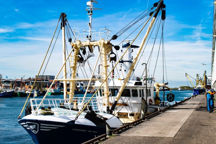 어로산업기사 Industrial Engineer Fishery 어로산업기사 Industrial Engineer Fishery