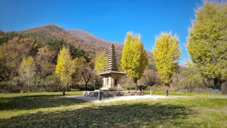 경주 가볼만한 독특한 석탑, 정혜사지 13층 석탑