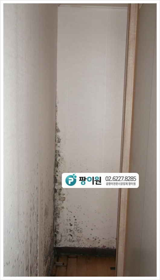  결로현상 곰팡이 제거 해결 - 장롱 뒤 깔끔!
