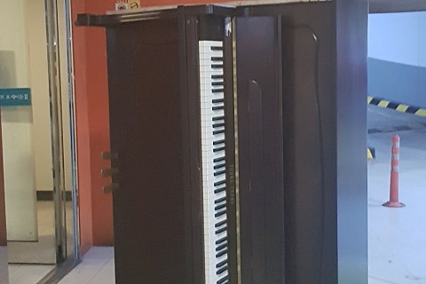 숙명피아노음악학원 이미지