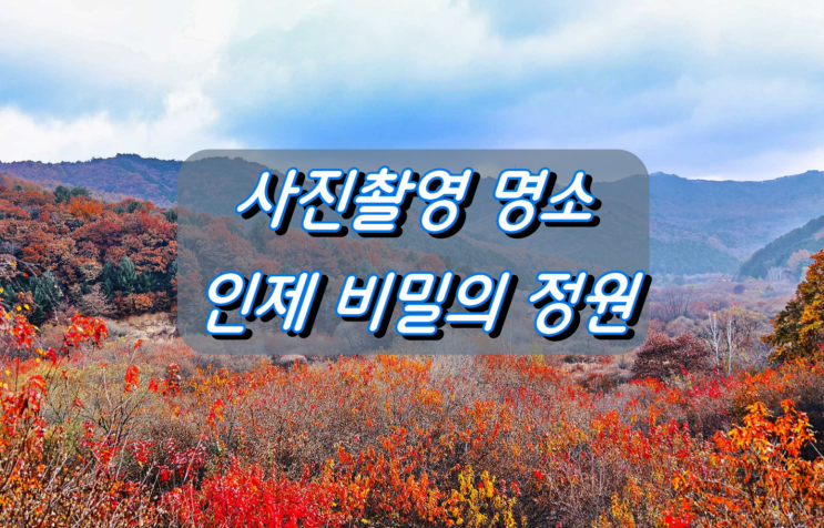강원도 인제 사진촬영 명소 비밀의 정원 강원도 인제 사진촬영 명소 비밀의 정원