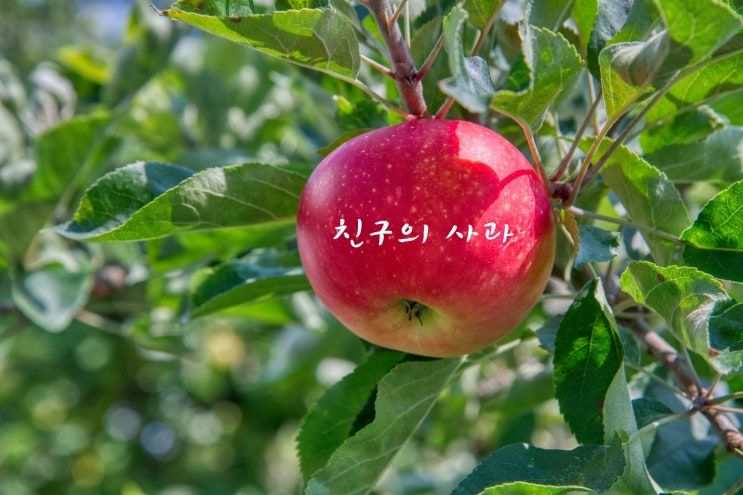  형님 같은 친구.
