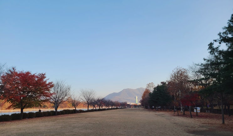  하남 미사 경정공원의 겨울로 접어드는 아름다운 풍경