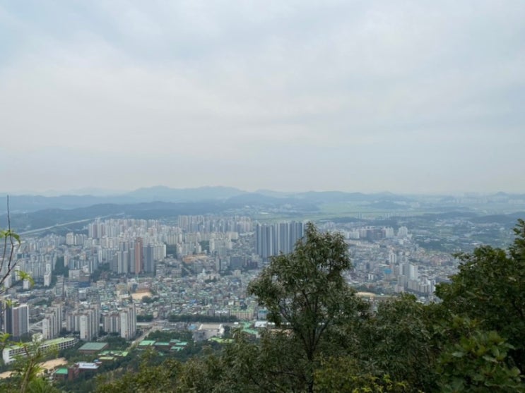 [운동일기] 등산으로 확찐자 거리두기 / 등산효과