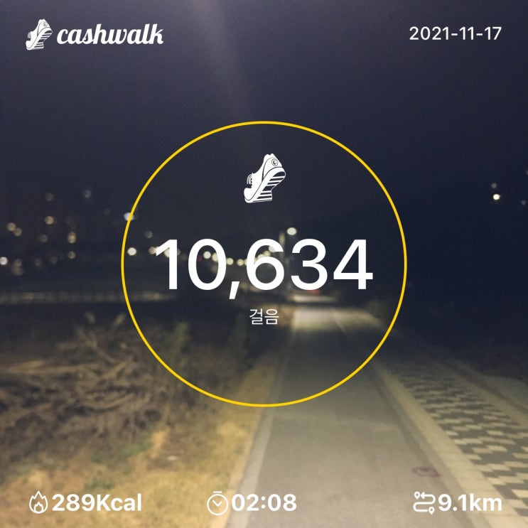 2021년 11월 17일 산책일지 2021년 11월 17일 산책일지