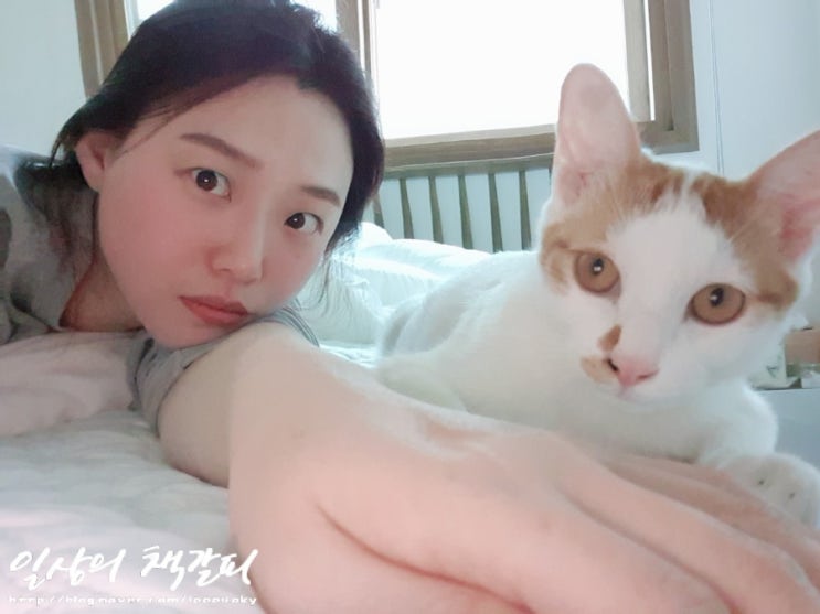  <2인2묘 라이프> 2021. 11. 17. 고양이와 행복한 하루