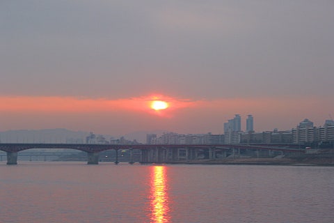 장수 엽록소 이미지