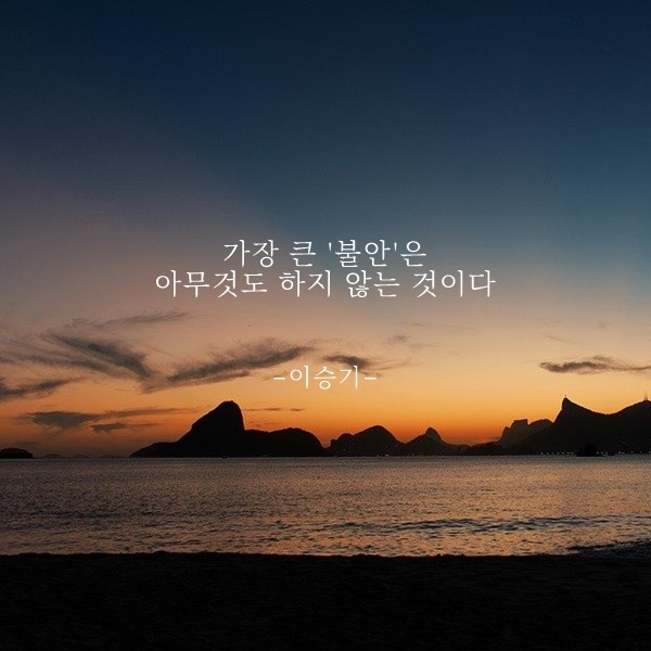  부거사이 [부동산 뉴스와 블로그] 11월17일(수)