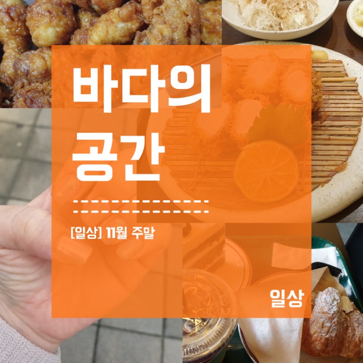  바다의 11월 주말 일상