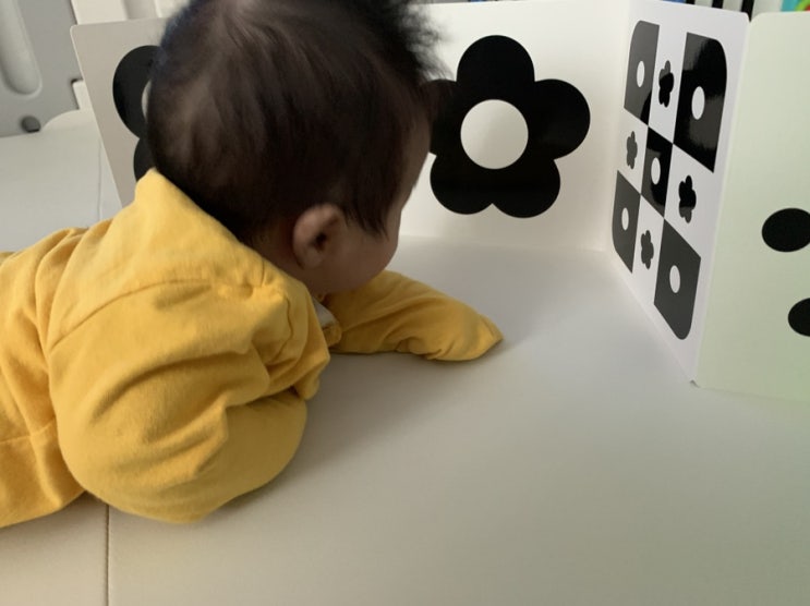  [정보] 흑백 초점책/흑색 모빌/컬러 모빌 언제부터 보나요?/효과/위치/보여주는 방법