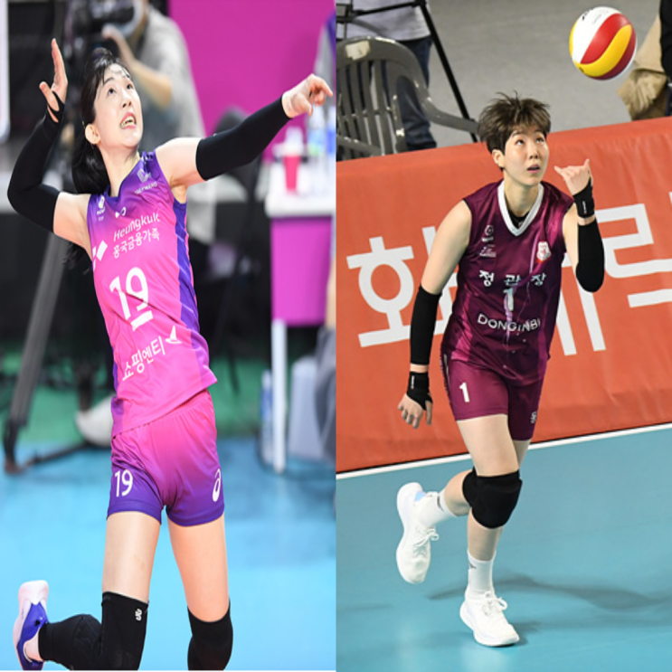 여자배구 흥국생명 인삼공사 11월18일 경기예상(캣벨 박현주 박혜진 이소영 옐레나 박혜민)