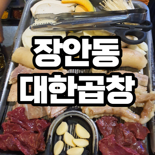  화사 곱창 장안동 군자대한곱창