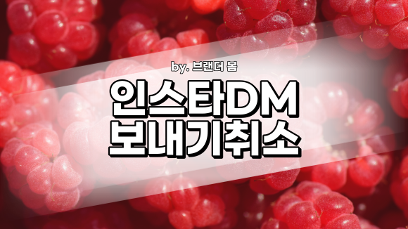 인스타그램 디엠보내기 취소 방법 인스타그램 디엠보내기 취소 방법