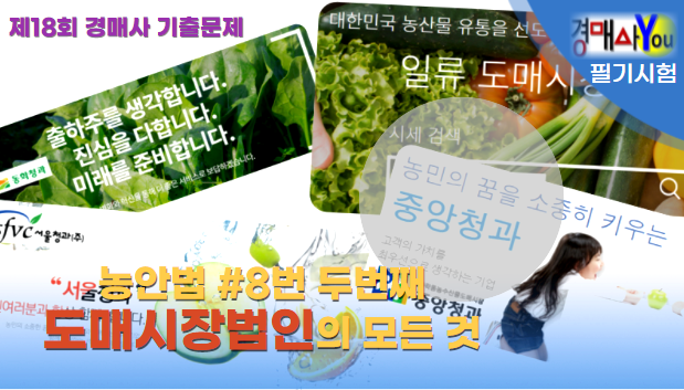  [제18회 기출문제 풀고 경매사 되기] 농안법 8번 2편 "도매시장법인의 모든 것을 알려드립니다"