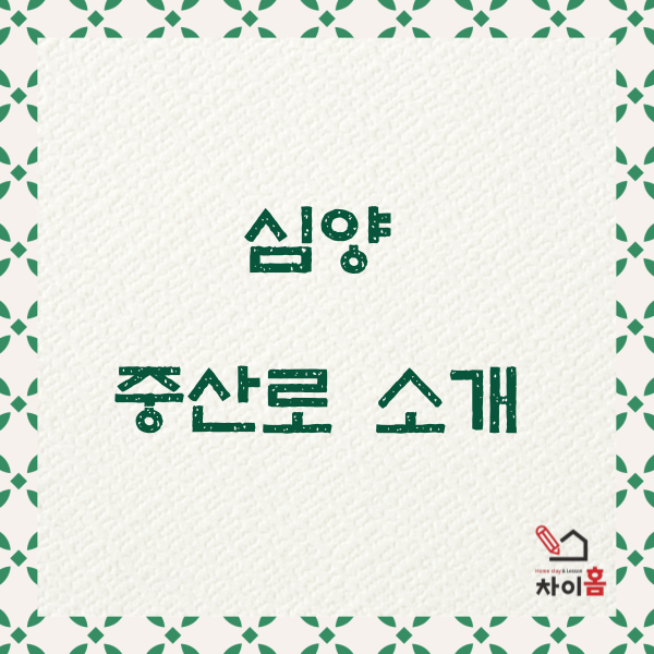  중국유학,중국어학연수  ( 심양시 중산로 소개 )