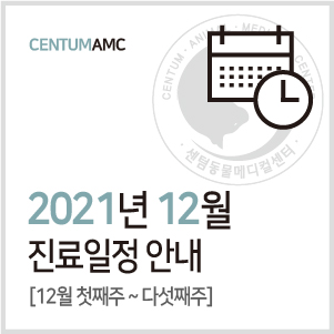 [진료일정]2021년 12월 진료 안내 (수영역 2번 출구 센텀동물메디컬센터)