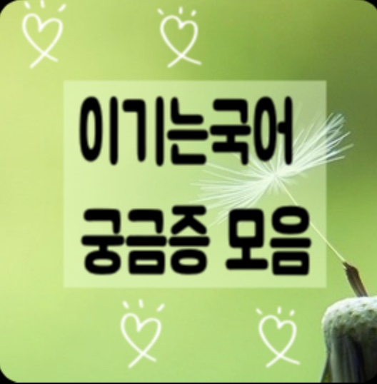  겨울방학 커리큘럼 공지 예정일 / Q&A