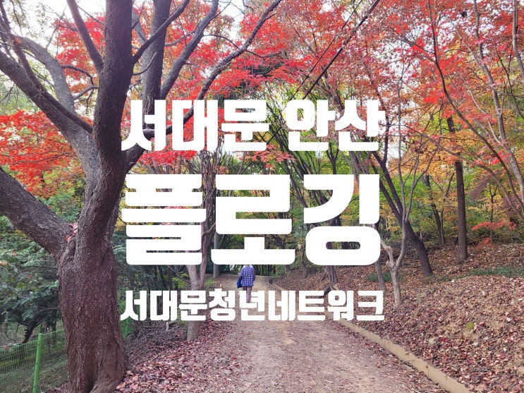 서울 서대문 안산 플로깅 줍깅 코스