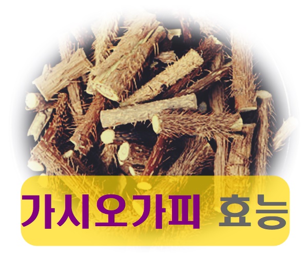  가시오가피 효능 다양해요