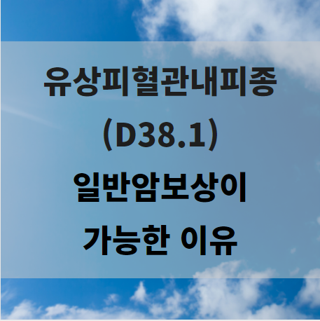  D38.1 유상피혈관내피종 일반암진단비 보상이 가능한 이유