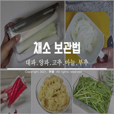  우리집 손쉬운 채소보관법