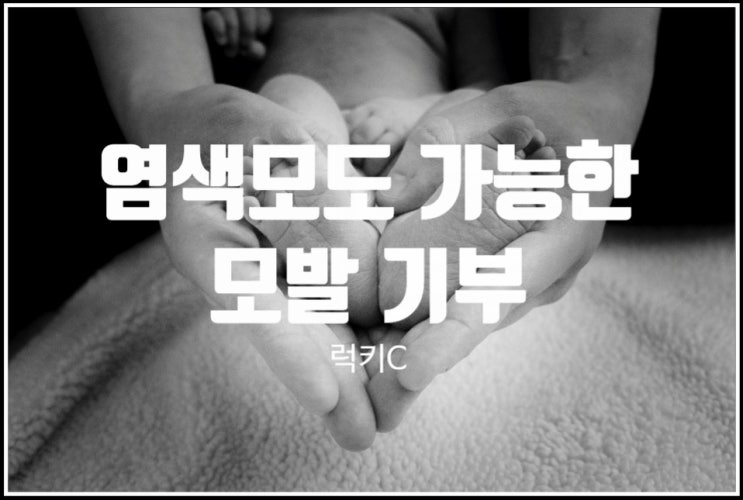  염색모도 가능한 모발 기부 후기