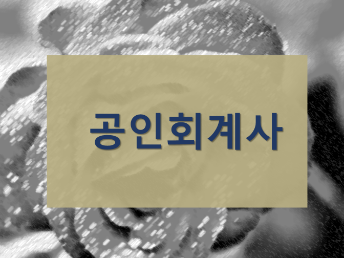  공인회계사(CPA)가 하는 일, 주업무는?