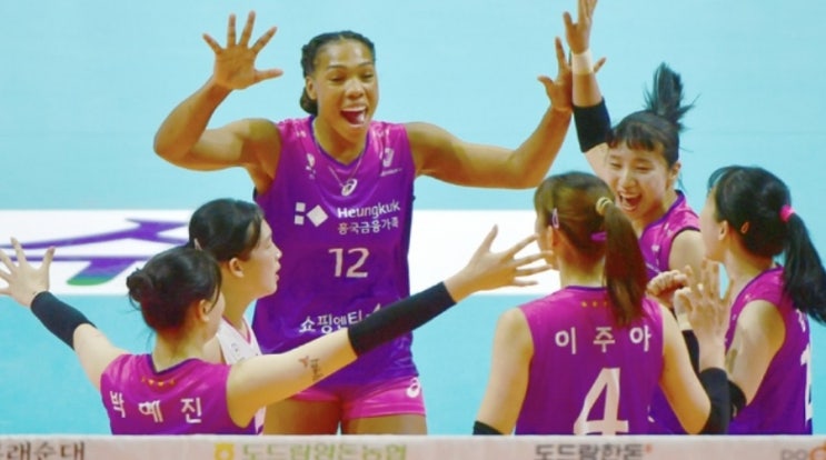 KOVO 프로배구 여자배구 18일 흥국생명 KGC KOVO 프로배구 여자배구 18일 흥국생명 KGC