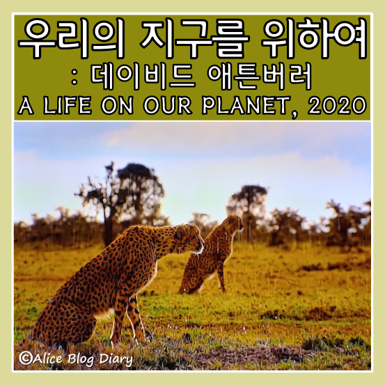  [우리의 지구를 위하여] - 넷플릭스 다큐 추천 / 데이비드 애튼버러 / 기후위기 영화 / 생물다양성 / 해양생태계 / 우리의 지구를 위하여 리뷰 (2)