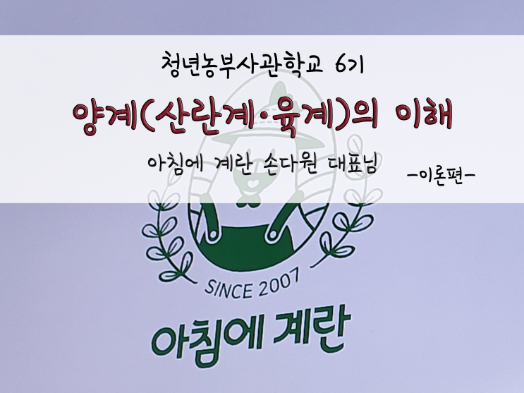  양계(산란계·육계)의 이해_아침에 계란_211118